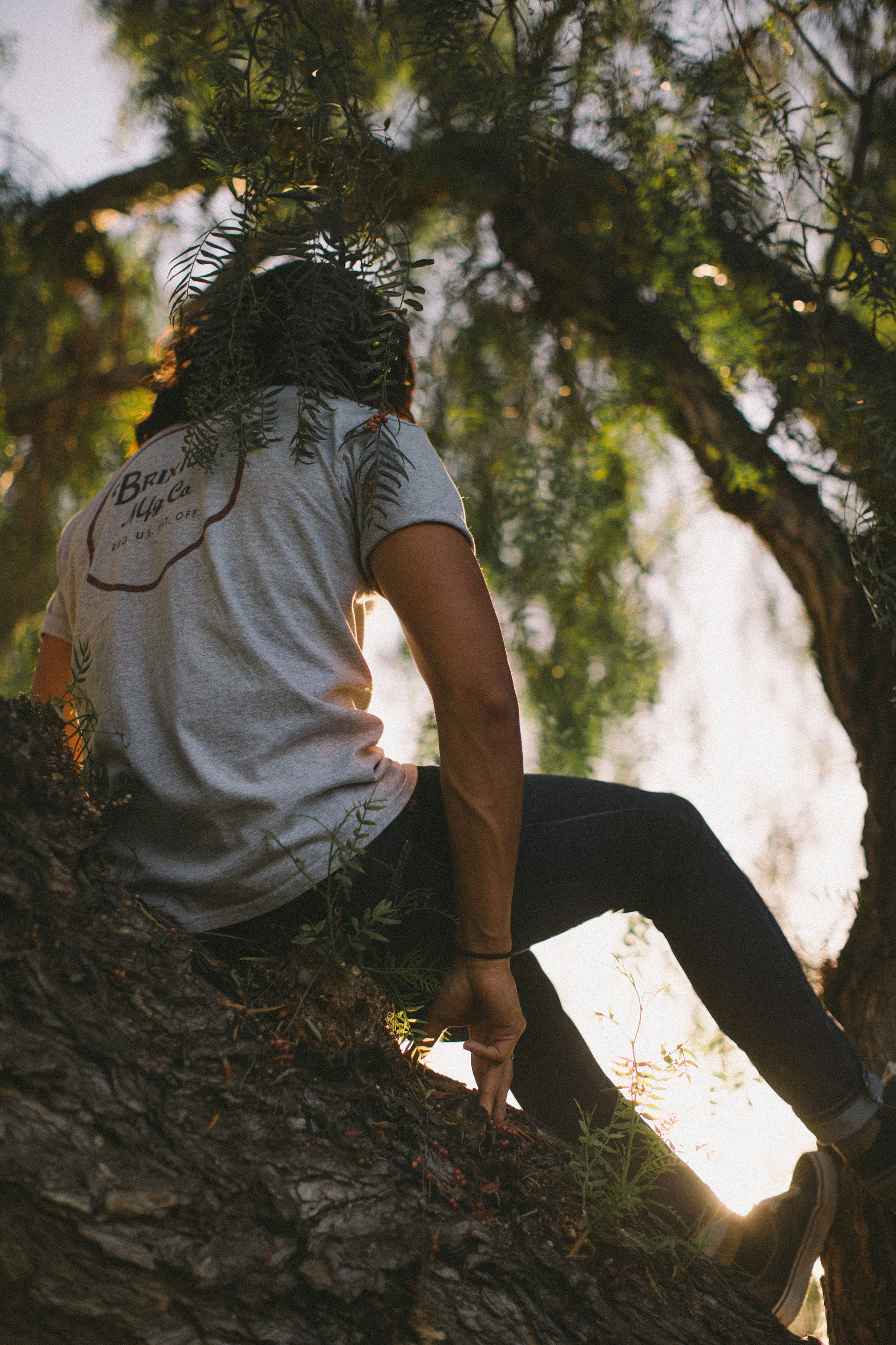 Learning from Nature